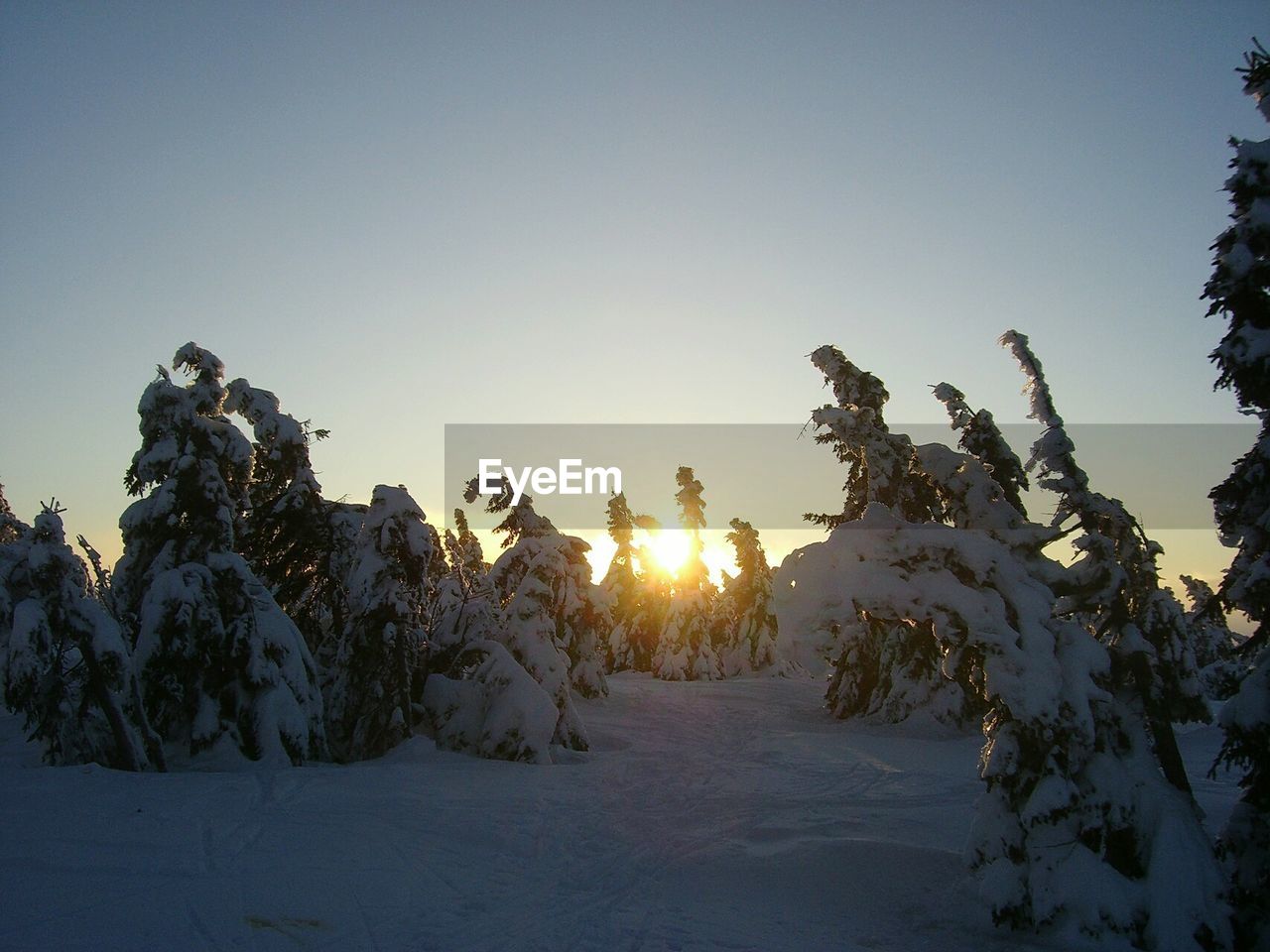 SCENIC VIEW OF SNOW COVERED LANDSCAPE AGAINST SKY