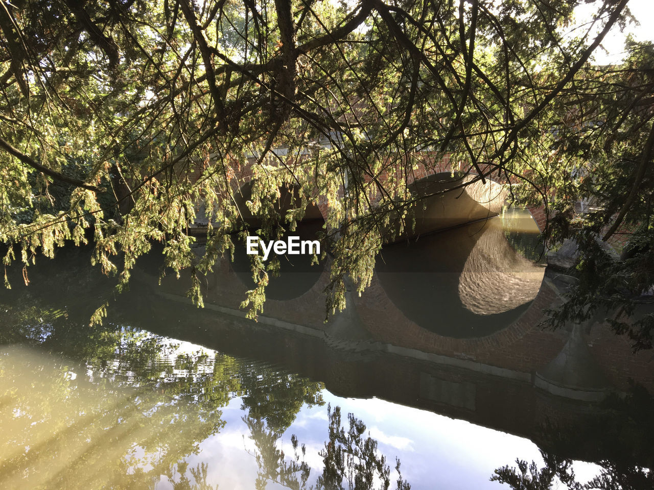 SCENIC VIEW OF LAKE AND TREES