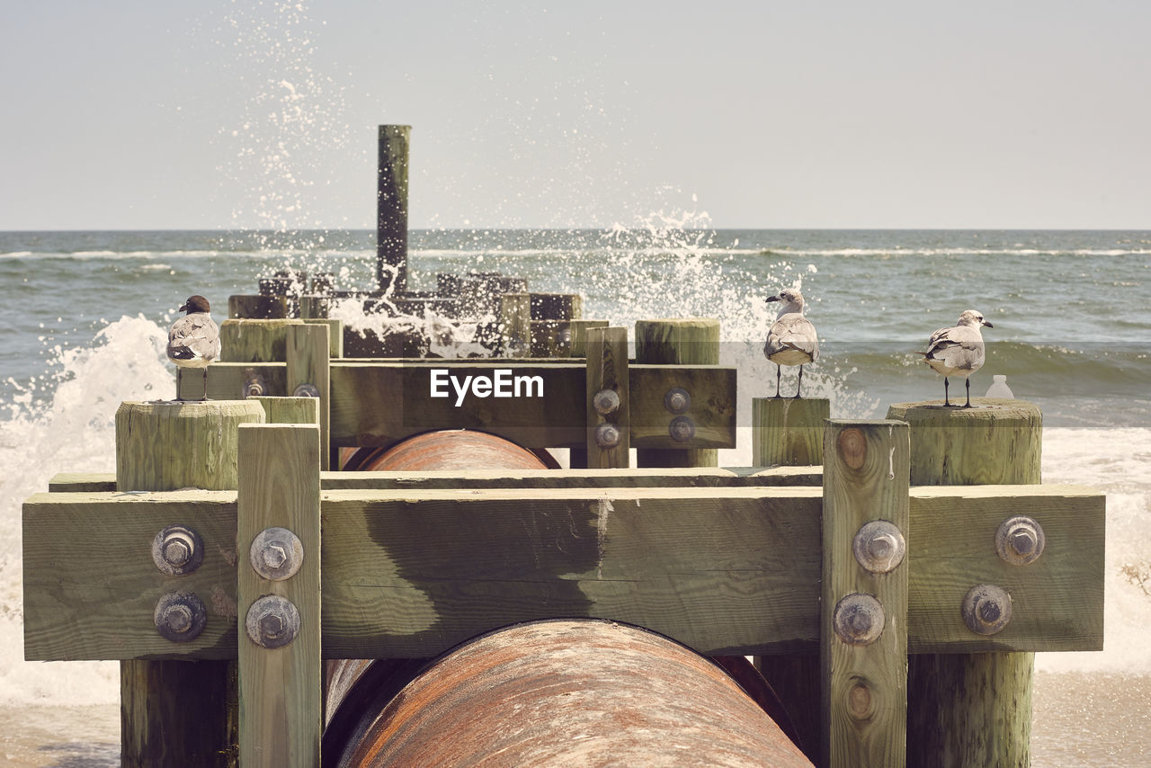 WOODEN POSTS ON SEA AGAINST SKY