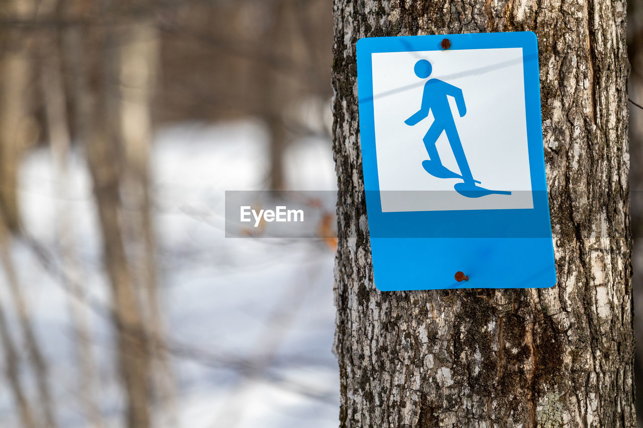 A snowshoe trail marker sign nailed to a tree trunk