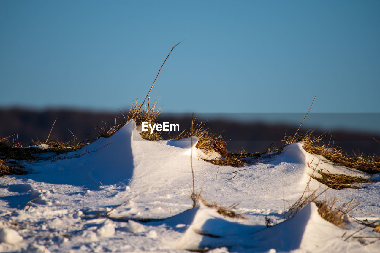 winter, snow, cold temperature, nature, environment, no people, sky, landscape, freezing, blue, land, day, plant, ice, frozen, outdoors, mountain, beauty in nature, scenics - nature, sunlight, tranquility, clear sky, tree, sunny, white, frost, tranquil scene