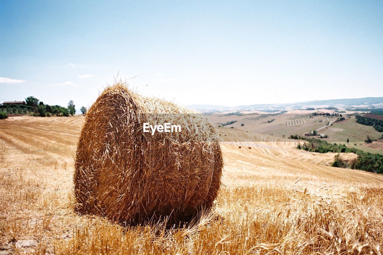 Hay bales on field against sky