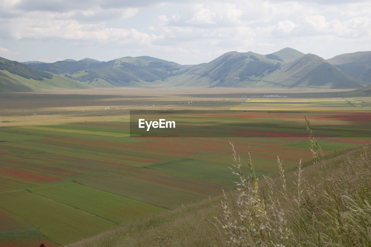 Scenic view of agricultural field against sky