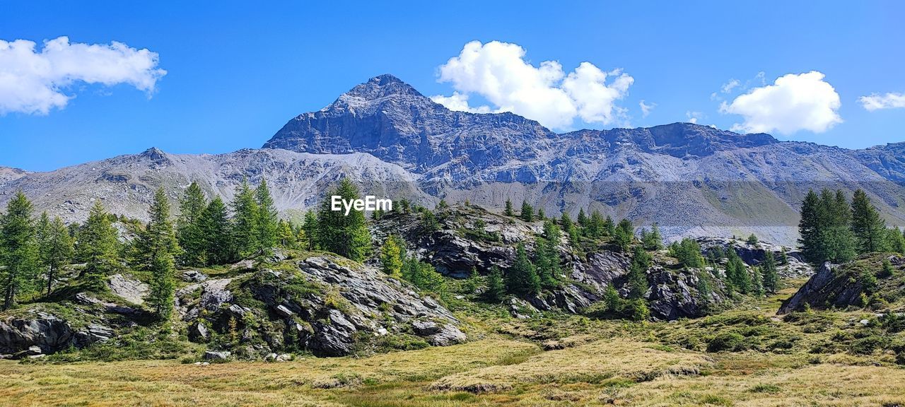 mountain, scenics - nature, sky, wilderness, environment, landscape, beauty in nature, plant, mountain range, tree, cloud, nature, land, pine tree, coniferous tree, pinaceae, travel destinations, travel, pine woodland, ridge, plateau, adventure, no people, mountain peak, tranquil scene, tranquility, walking, forest, snow, non-urban scene, blue, meadow, tourism, valley, rock, outdoors, day, national park, grass, backpacking, snowcapped mountain, green, cold temperature, activity, idyllic, winter, mountain pass