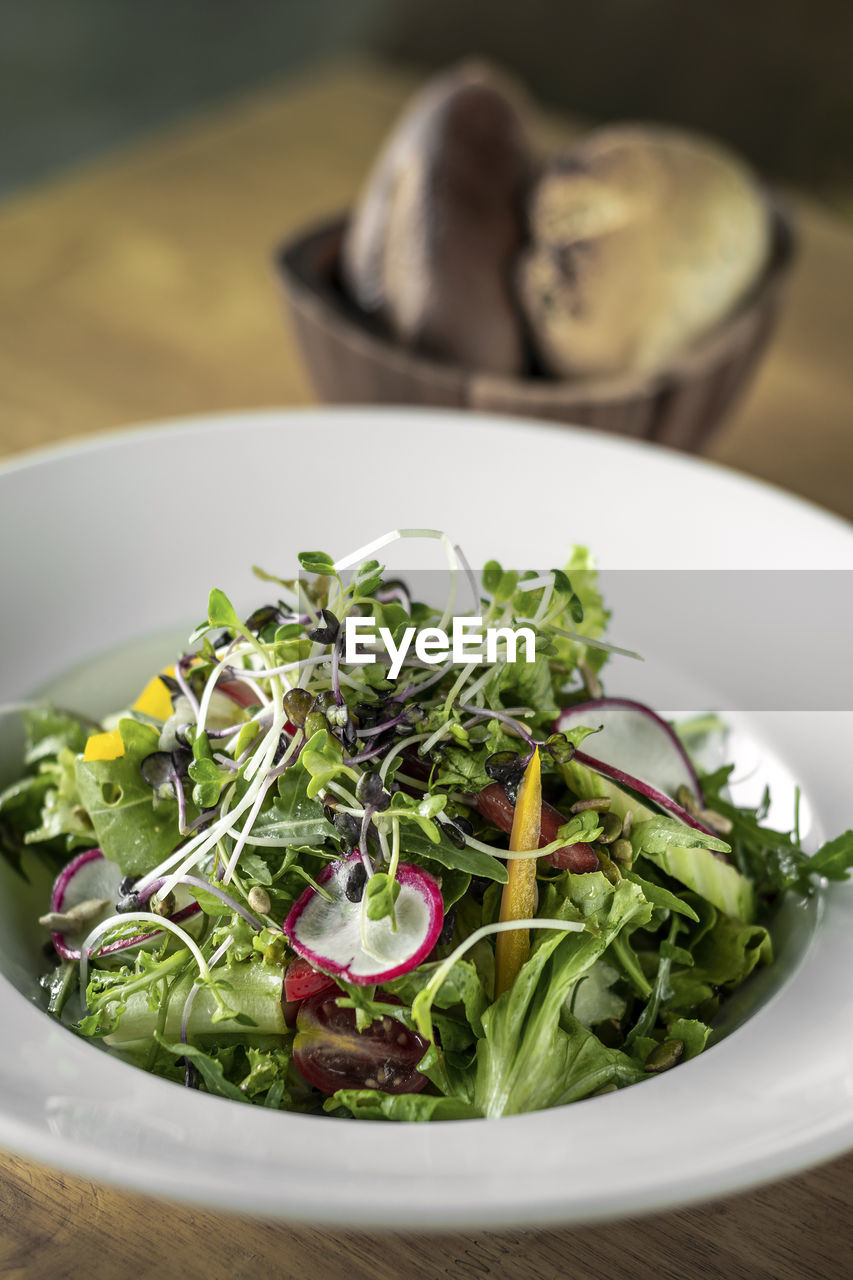 close-up of food in plate