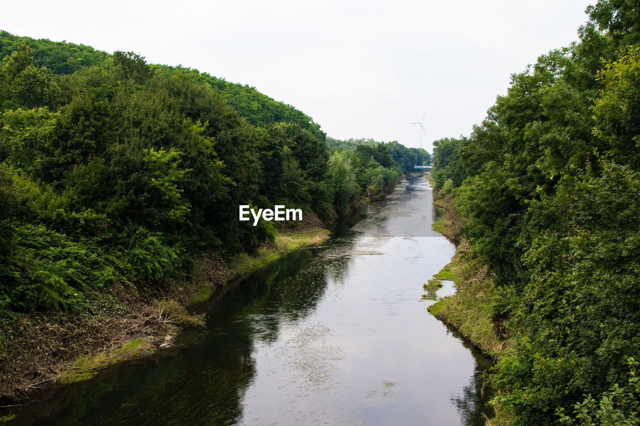 RIVER AMIDST TREES IN FOREST AGAINST SKY