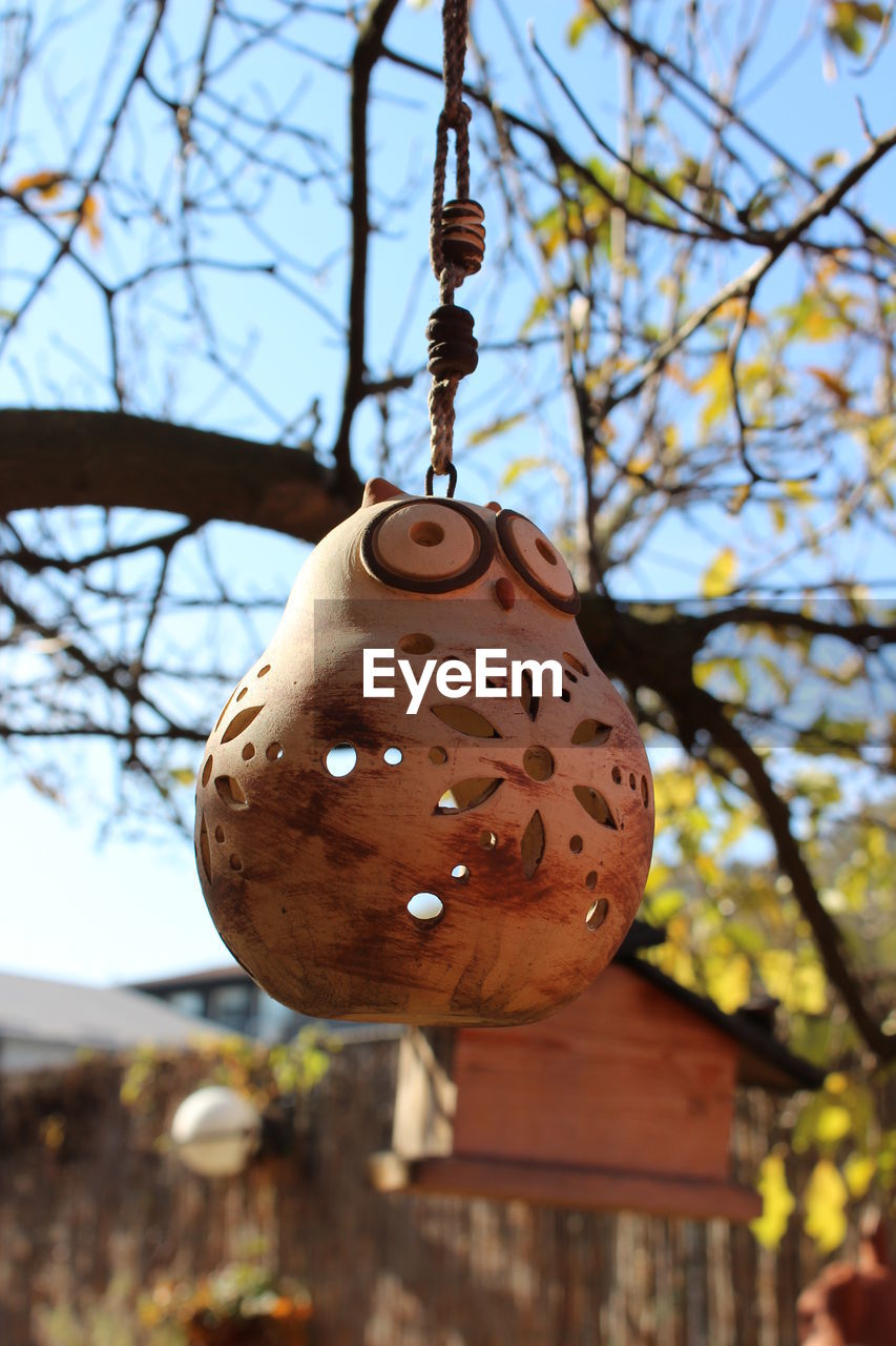 CLOSE-UP OF HANGING FROM TREE