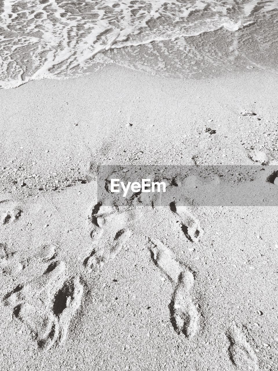 HIGH ANGLE VIEW OF FOOTPRINTS ON SANDY BEACH