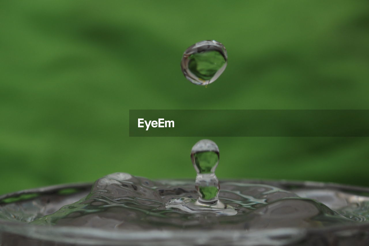 Close-up of water drop on leaf