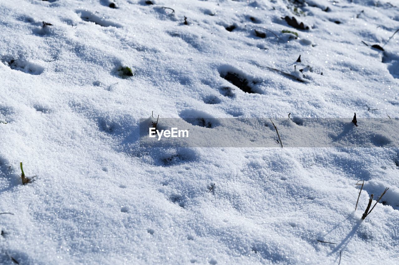 High angle view of snow covered field