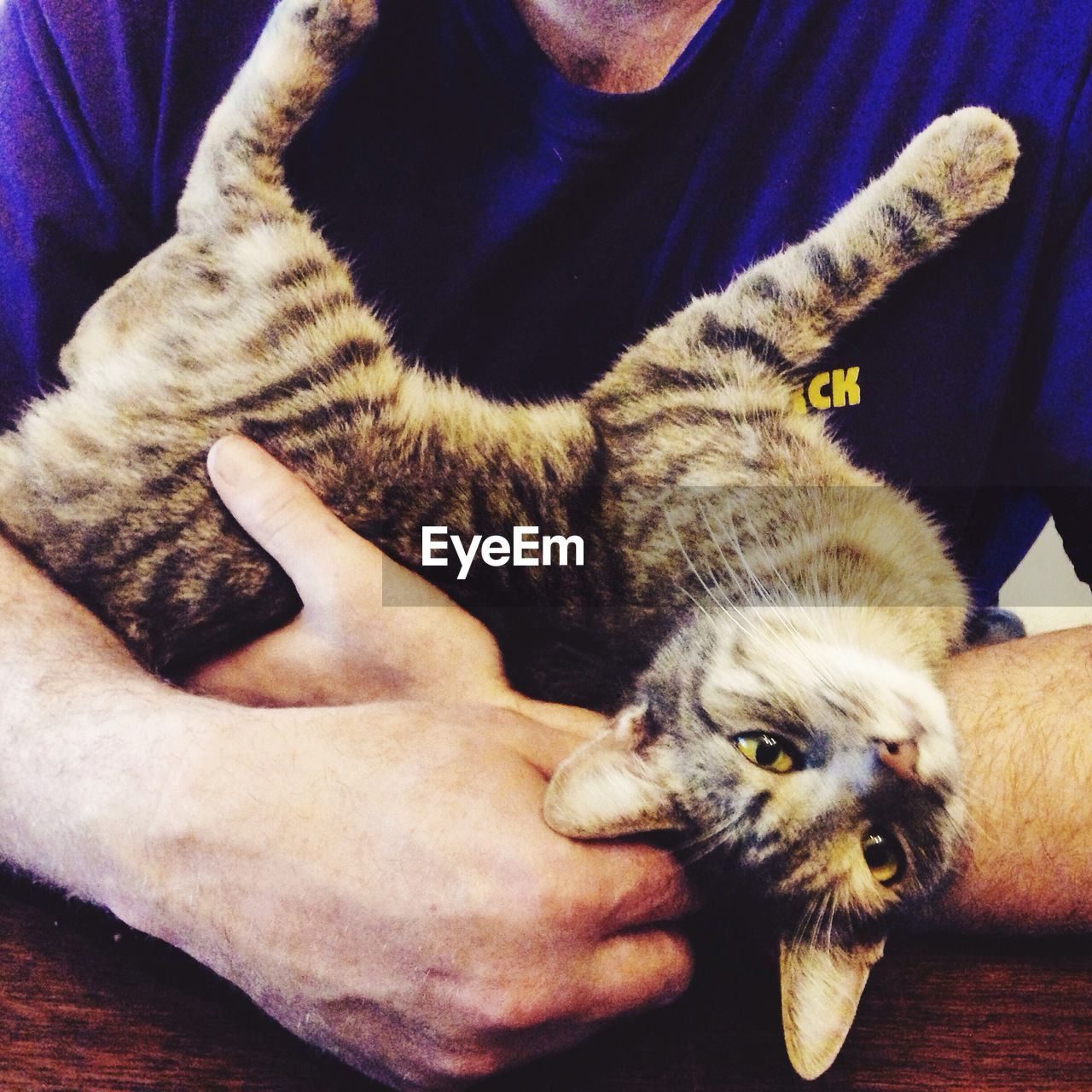 Midsection of man holding cat over table