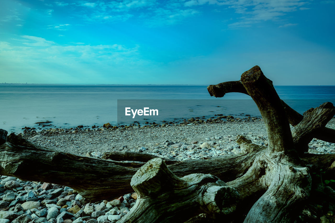 Tree trunks lying on the stony beach