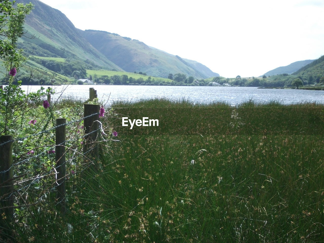 SCENIC VIEW OF FIELD BY LAKE