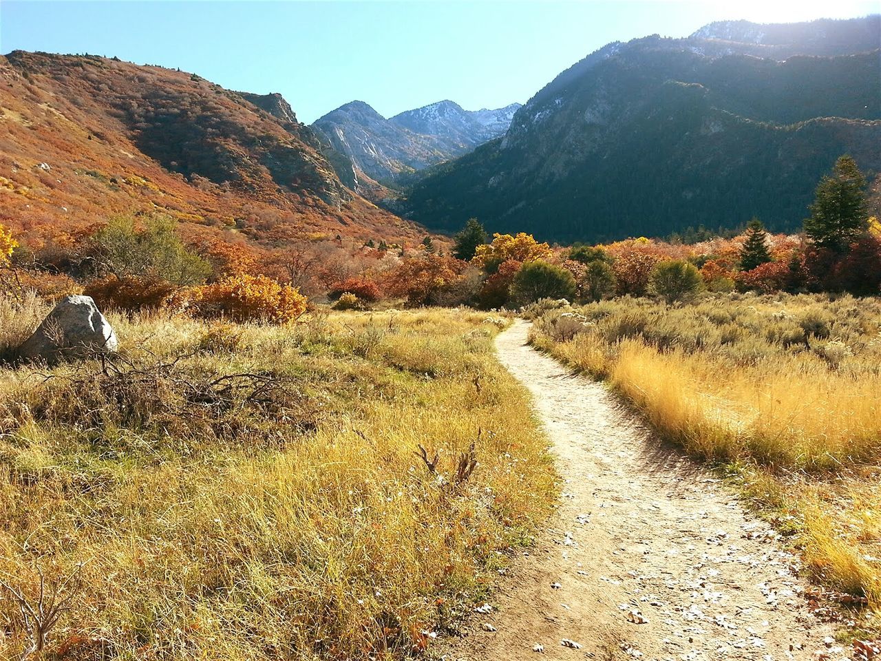 Pathway leading towards wasatch mountains