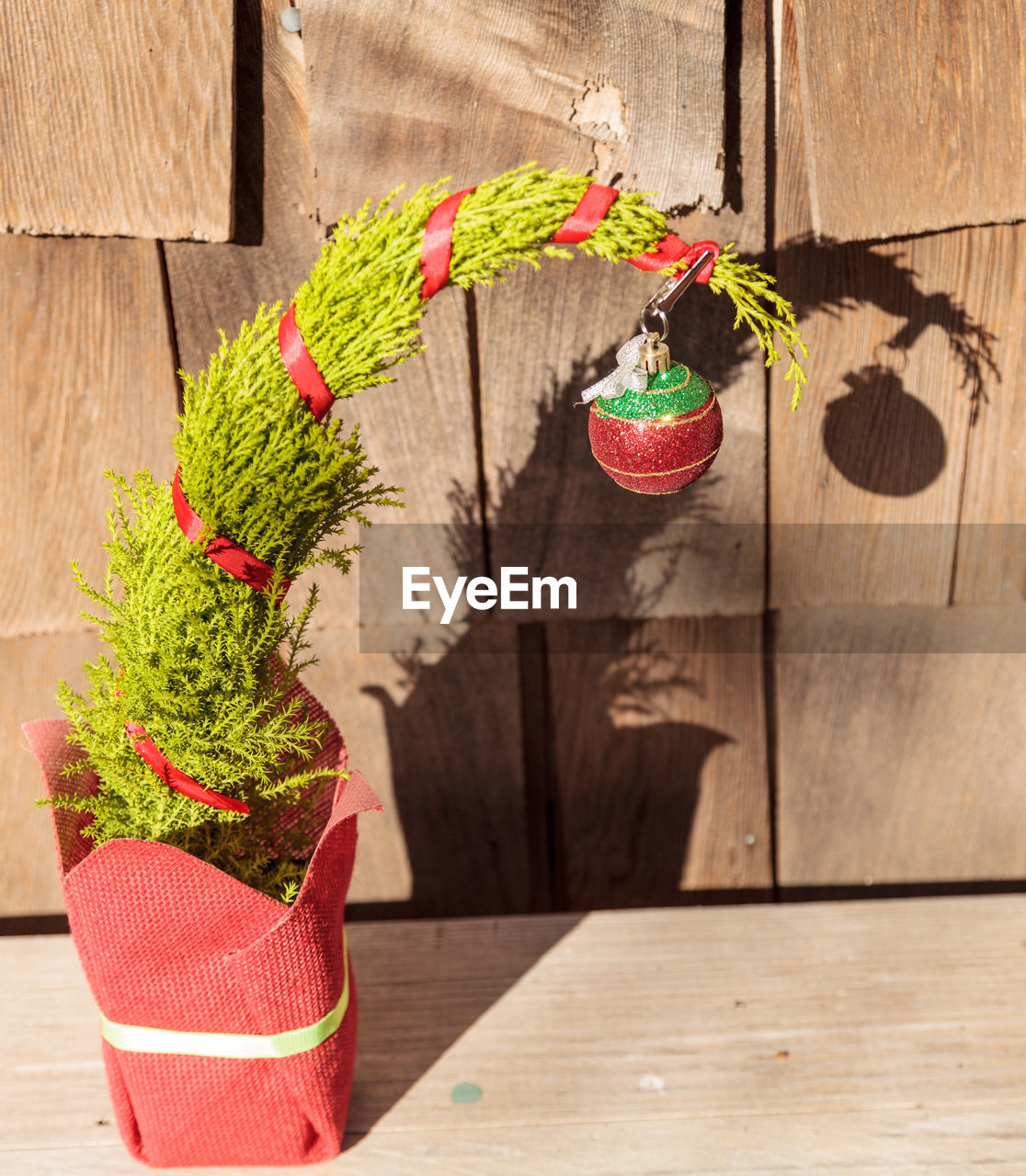 CHRISTMAS TREE ON RED TABLE