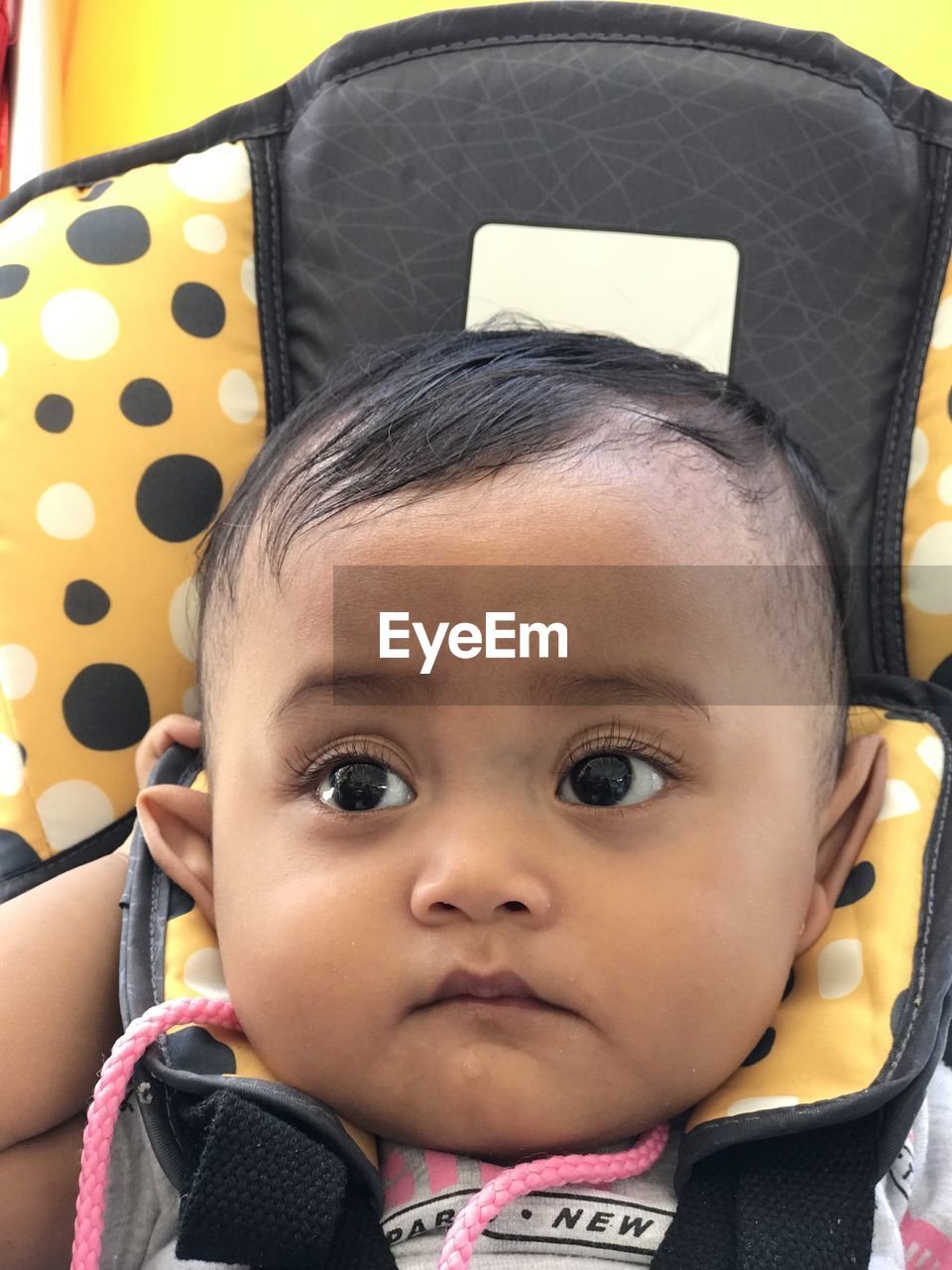 Close-up of baby girls in stroller