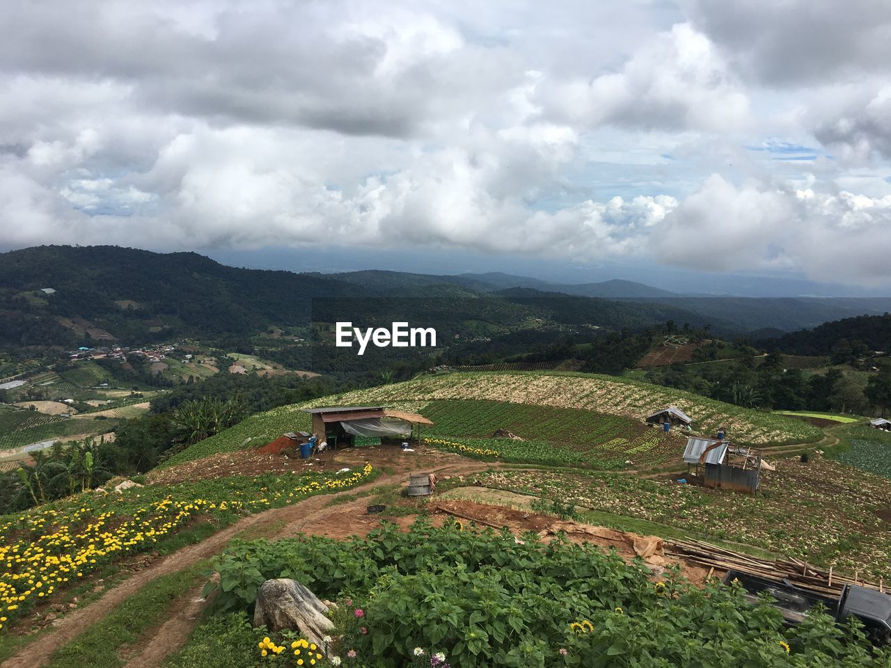 High angle view of agricultural field against sky