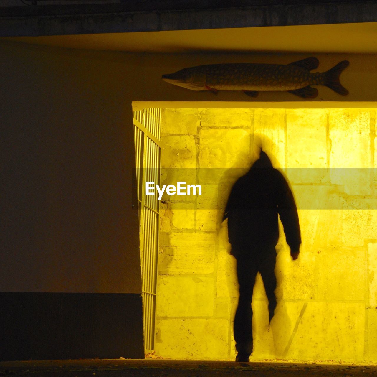 FULL LENGTH OF MAN STANDING IN YELLOW WALL