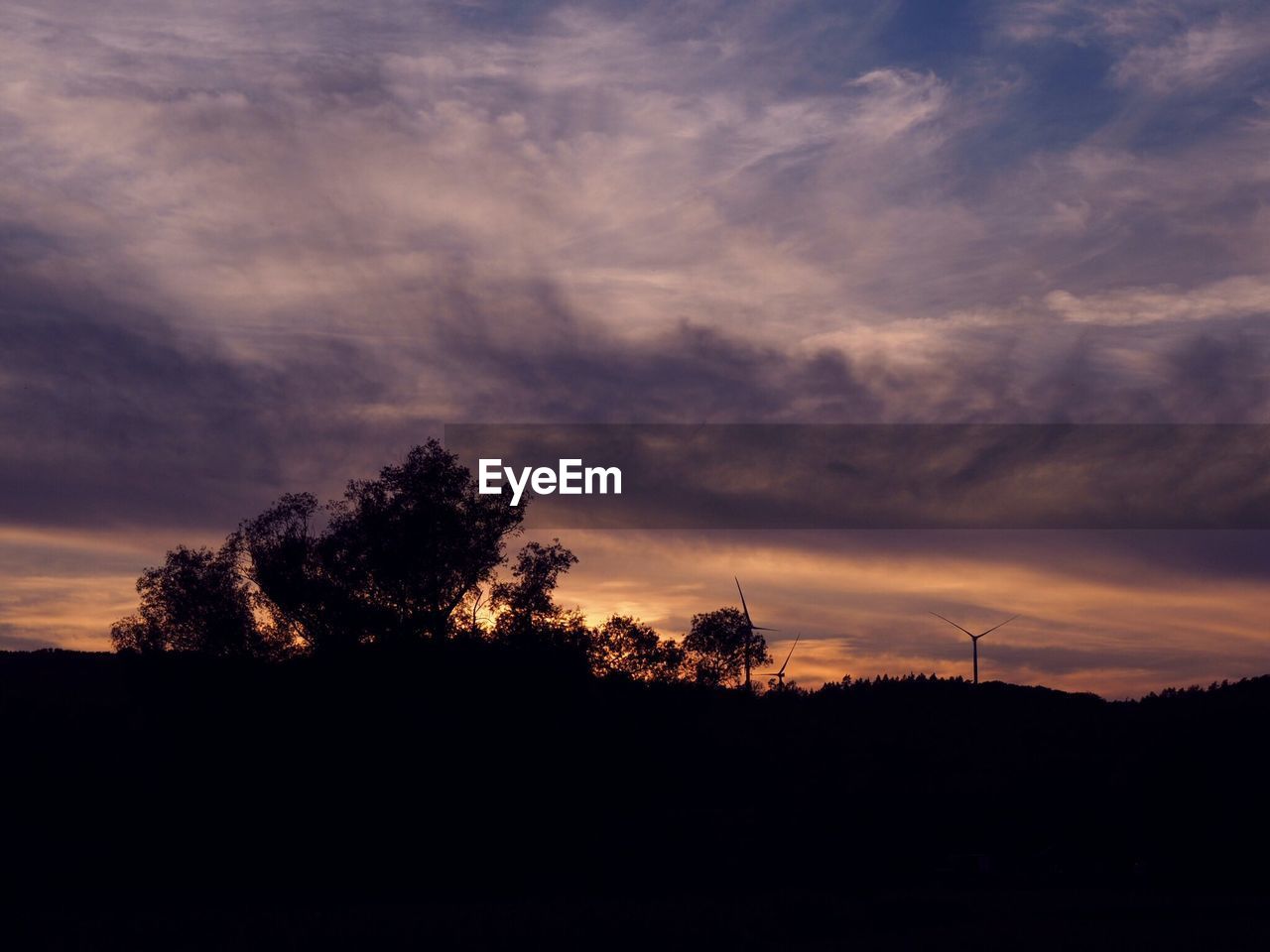 SILHOUETTE TREES ON LANDSCAPE AGAINST SKY AT SUNSET