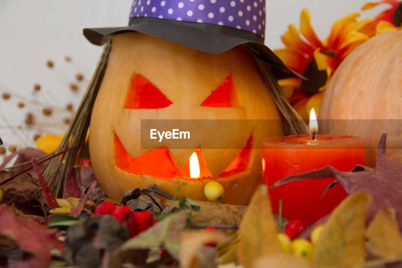 CLOSE-UP OF PUMPKIN AND PUMPKINS IN BOX