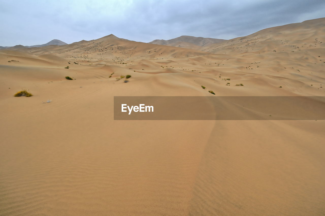 Chains of moving and stationary sand dunes of up to 500 ms.cover the badain jaran desert. china-1056