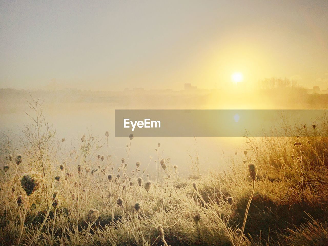 Scenic view of field against sky during sunset