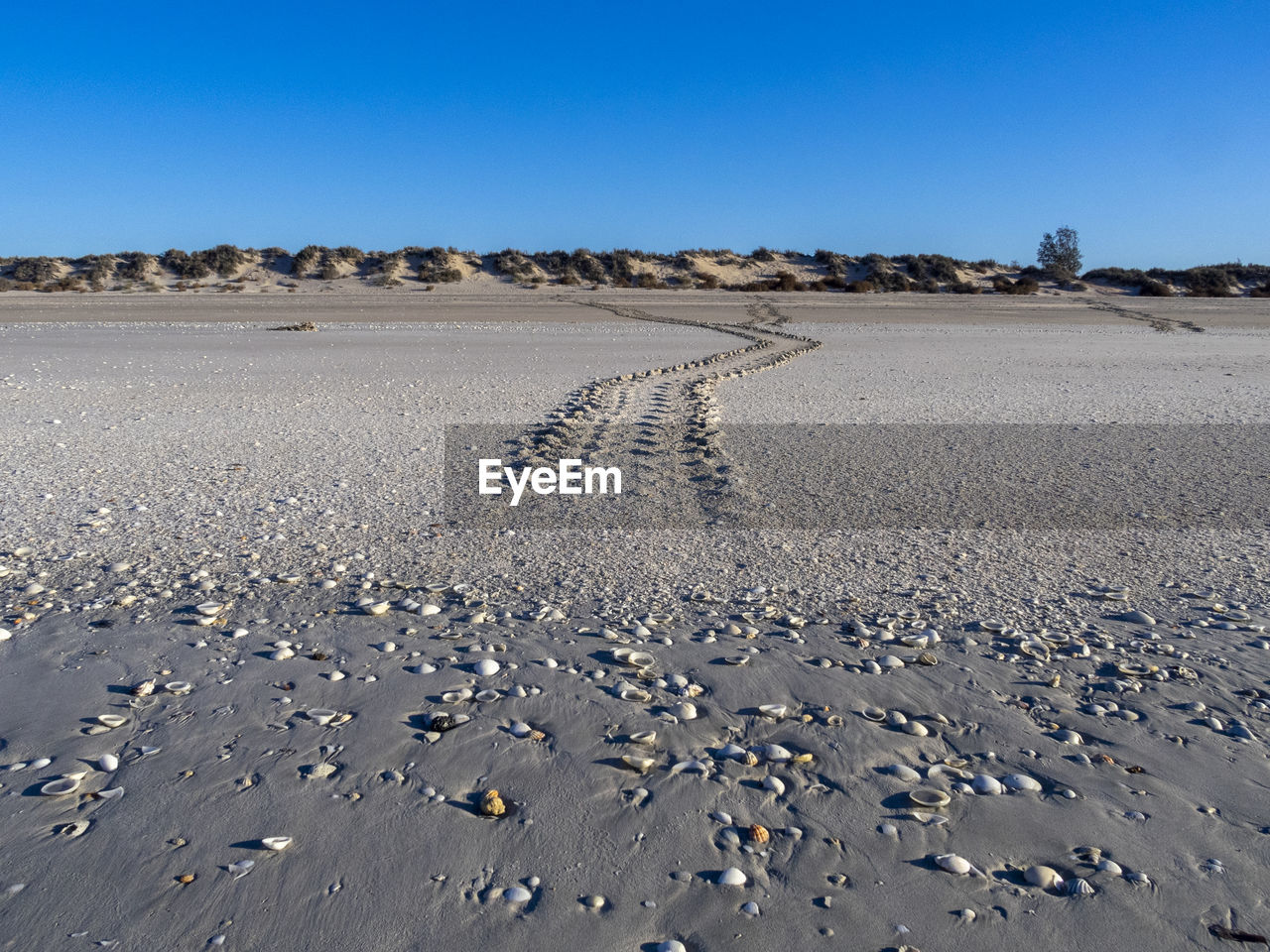 Scenic view of desert against clear sky