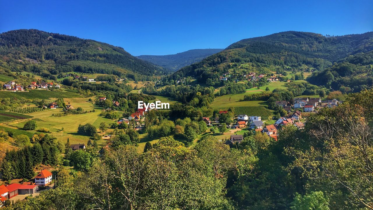 SCENIC VIEW OF TREES AND BUILDINGS AGAINST SKY