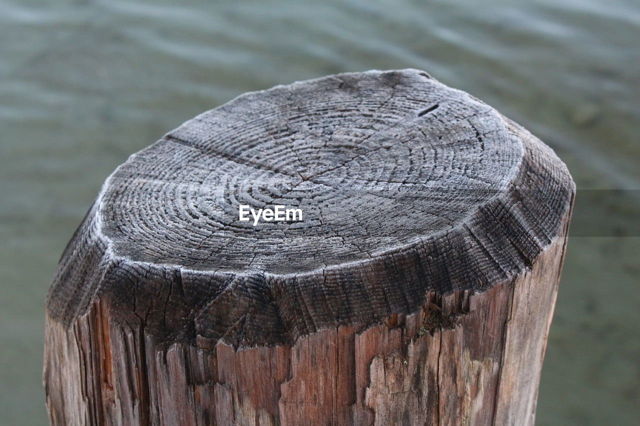 Close-up of wooden post at beach