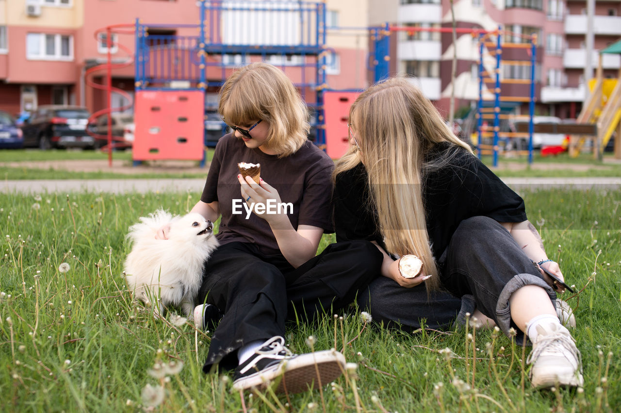 Pomeranian, white dog, two girls, eating ice cream, sitting on the grass