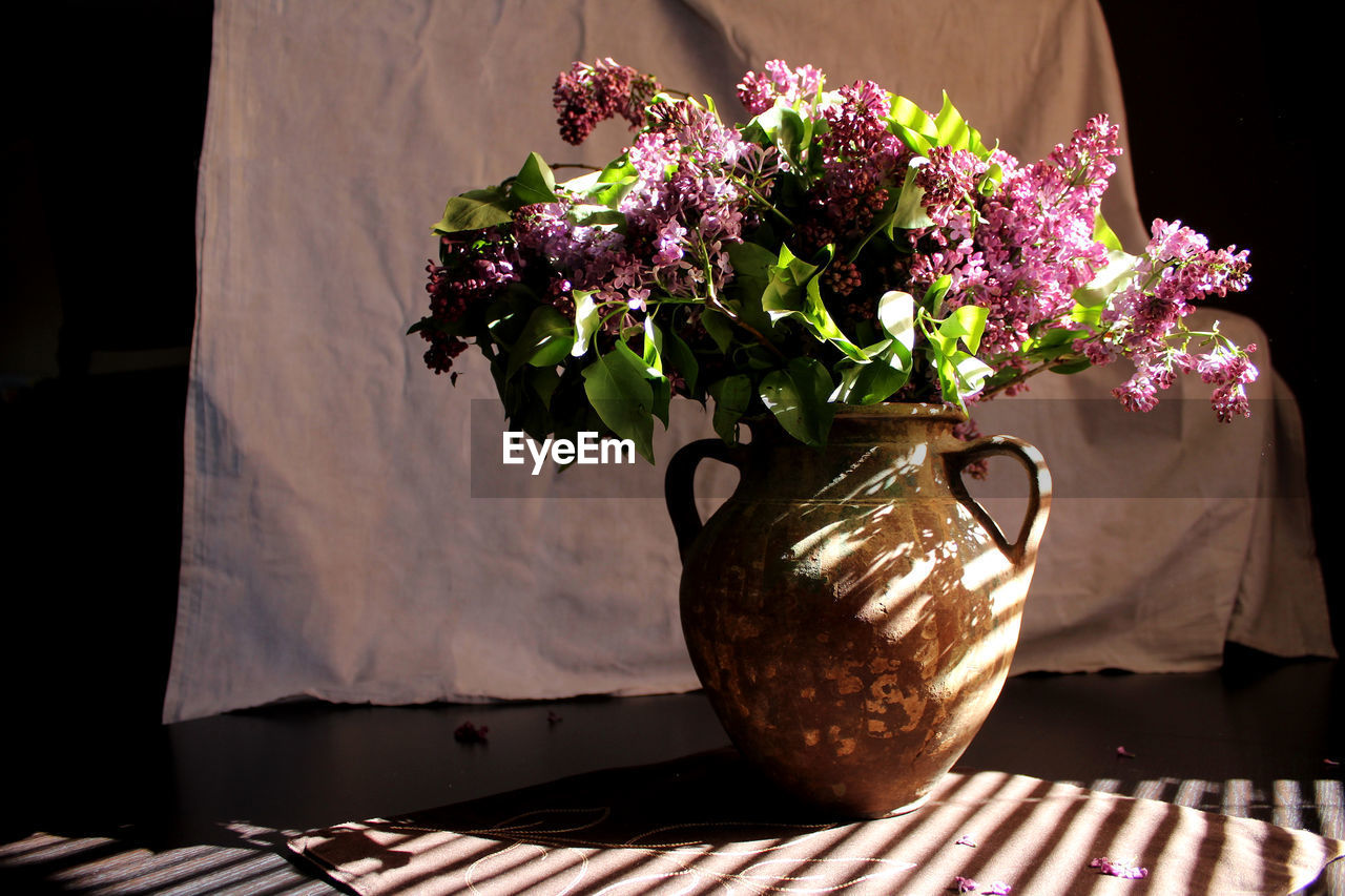 CLOSE-UP OF PURPLE FLOWER POT ON TABLE