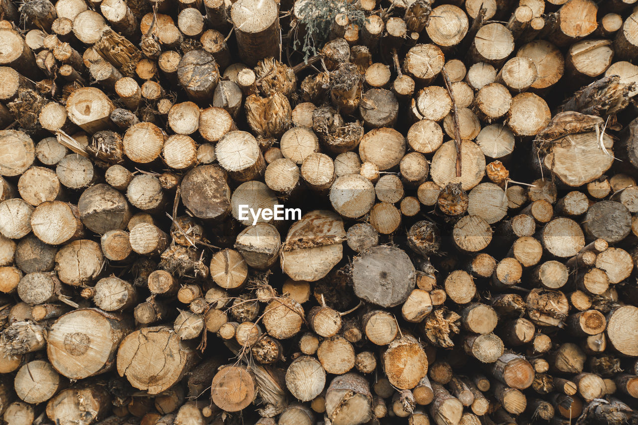 Stack of logs in sawmill