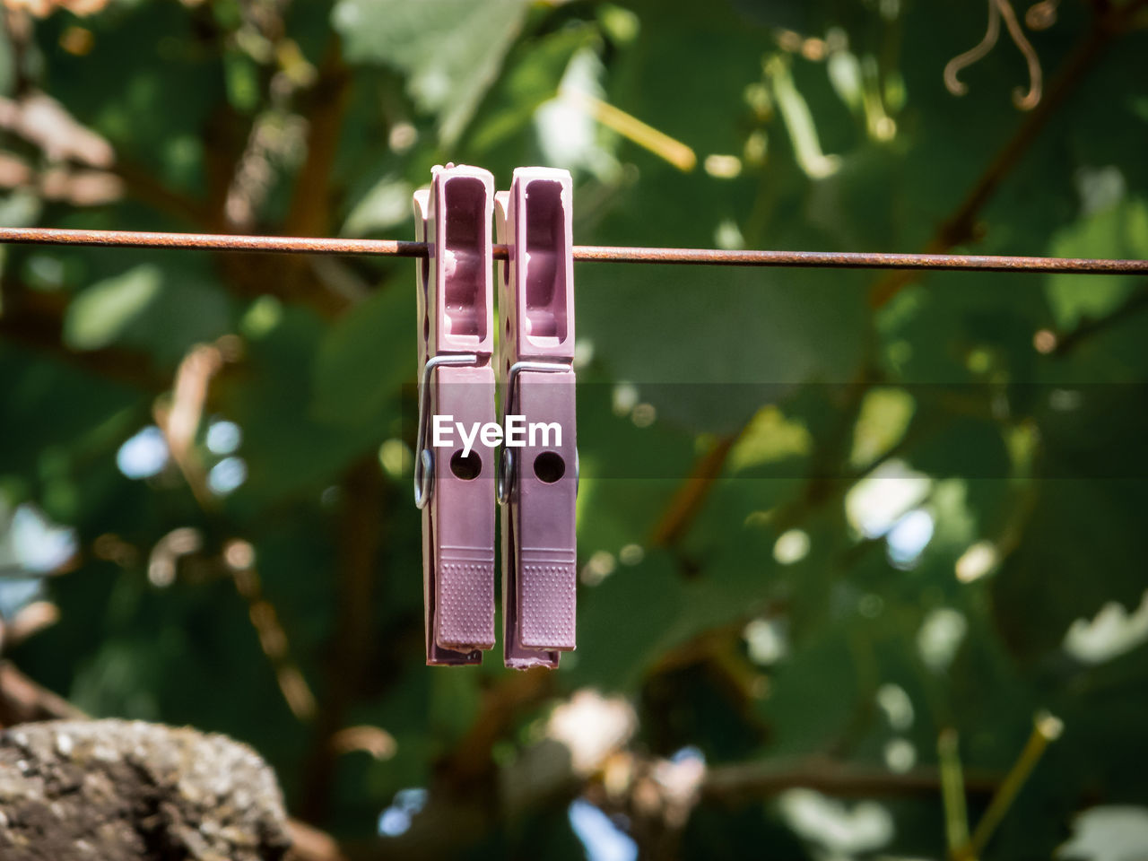Close-up of clothespins hanging on clothesline