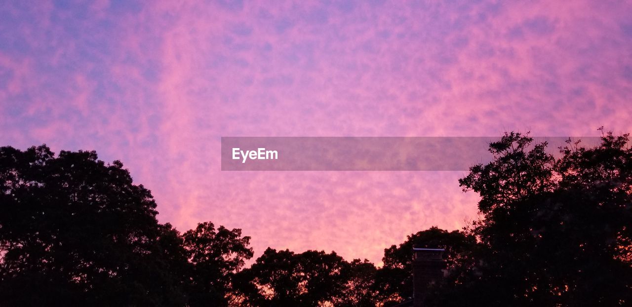 LOW ANGLE VIEW OF SILHOUETTE TREES AGAINST ROMANTIC SKY