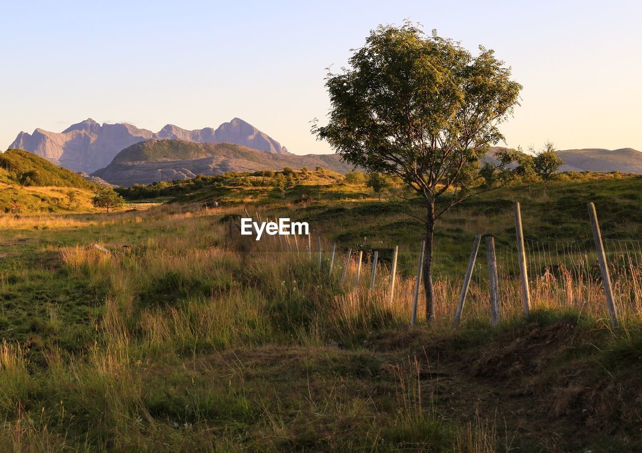 Landscape with mountains in background 