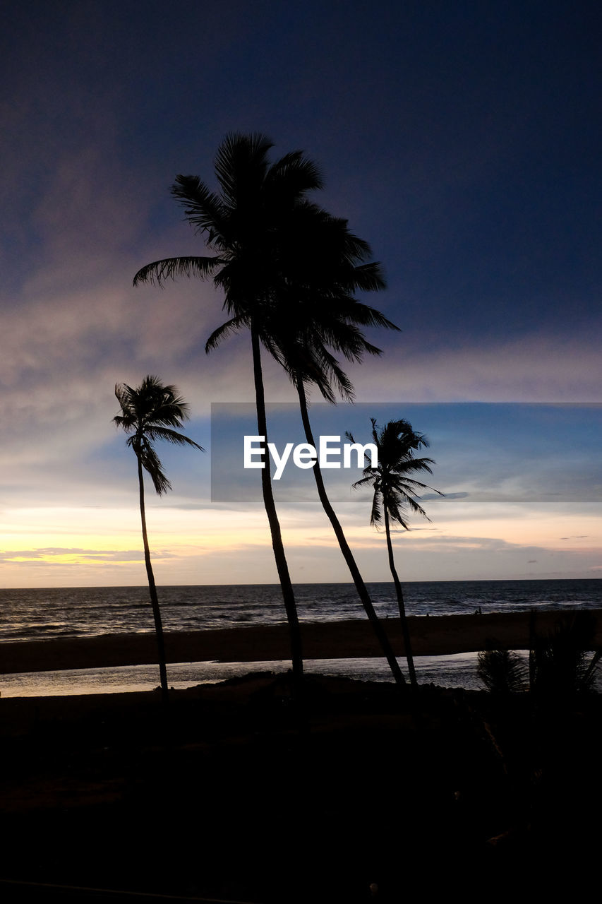 SILHOUETTE PALM TREES AT BEACH AGAINST SKY AT SUNSET