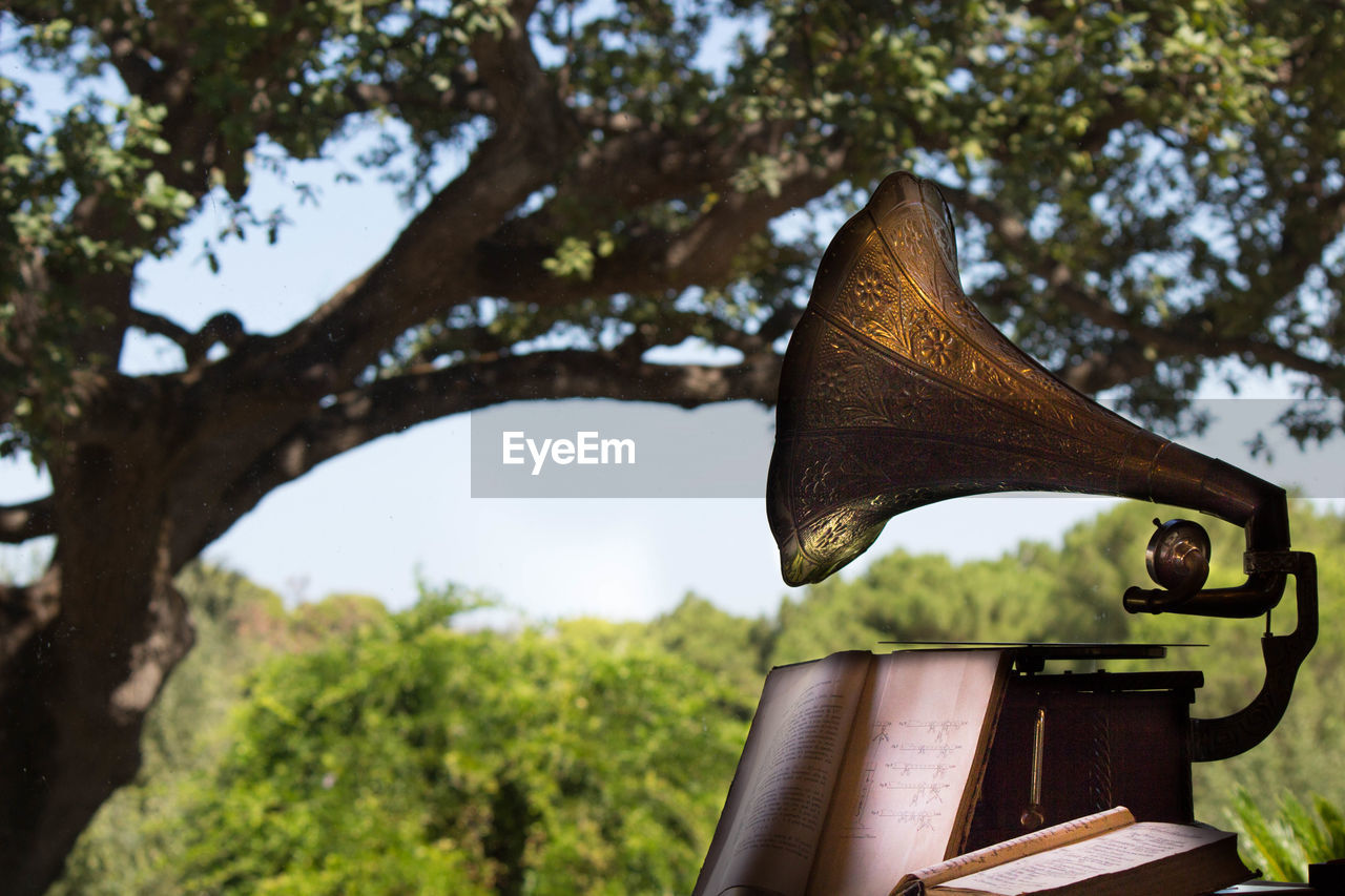 Close-up of gramophone by tree against sky