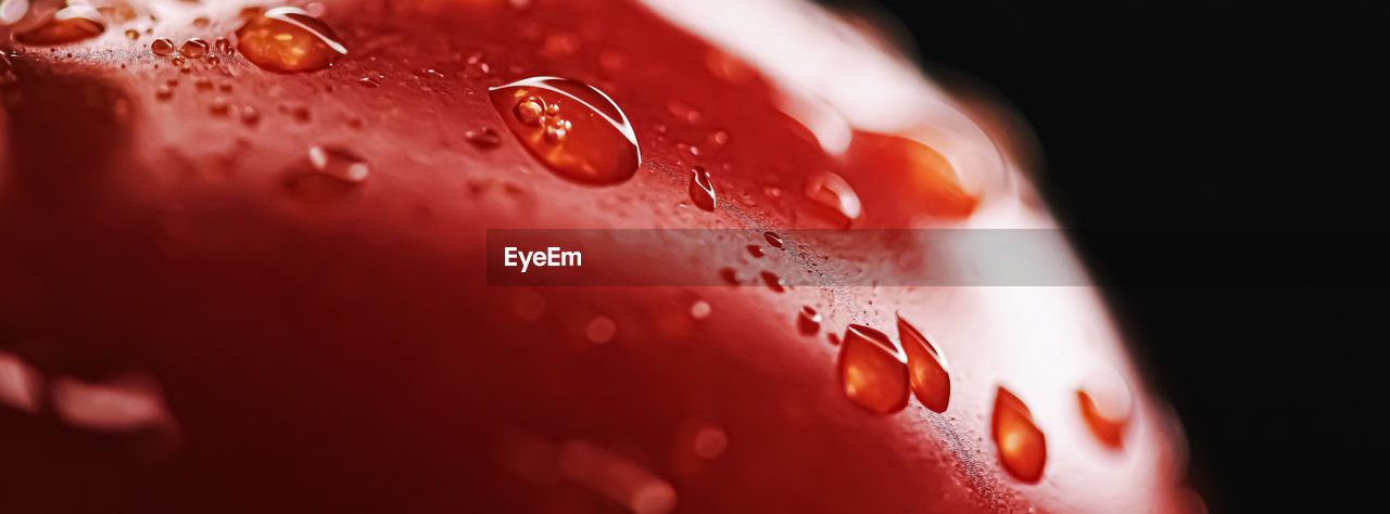 CLOSE-UP OF WATER DROPS ON GLASS OF RED WINE