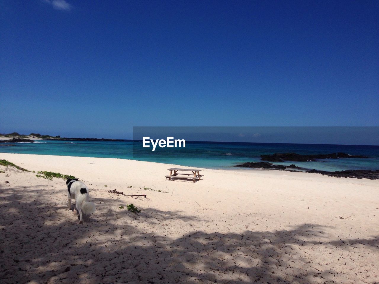 Scenic view of sea against blue sky