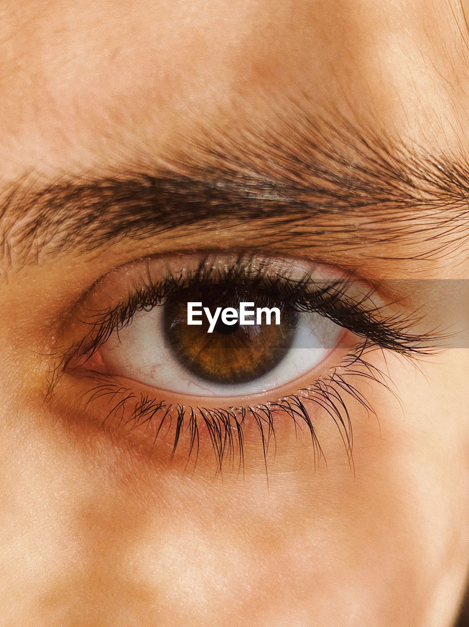 close-up portrait of human eye
