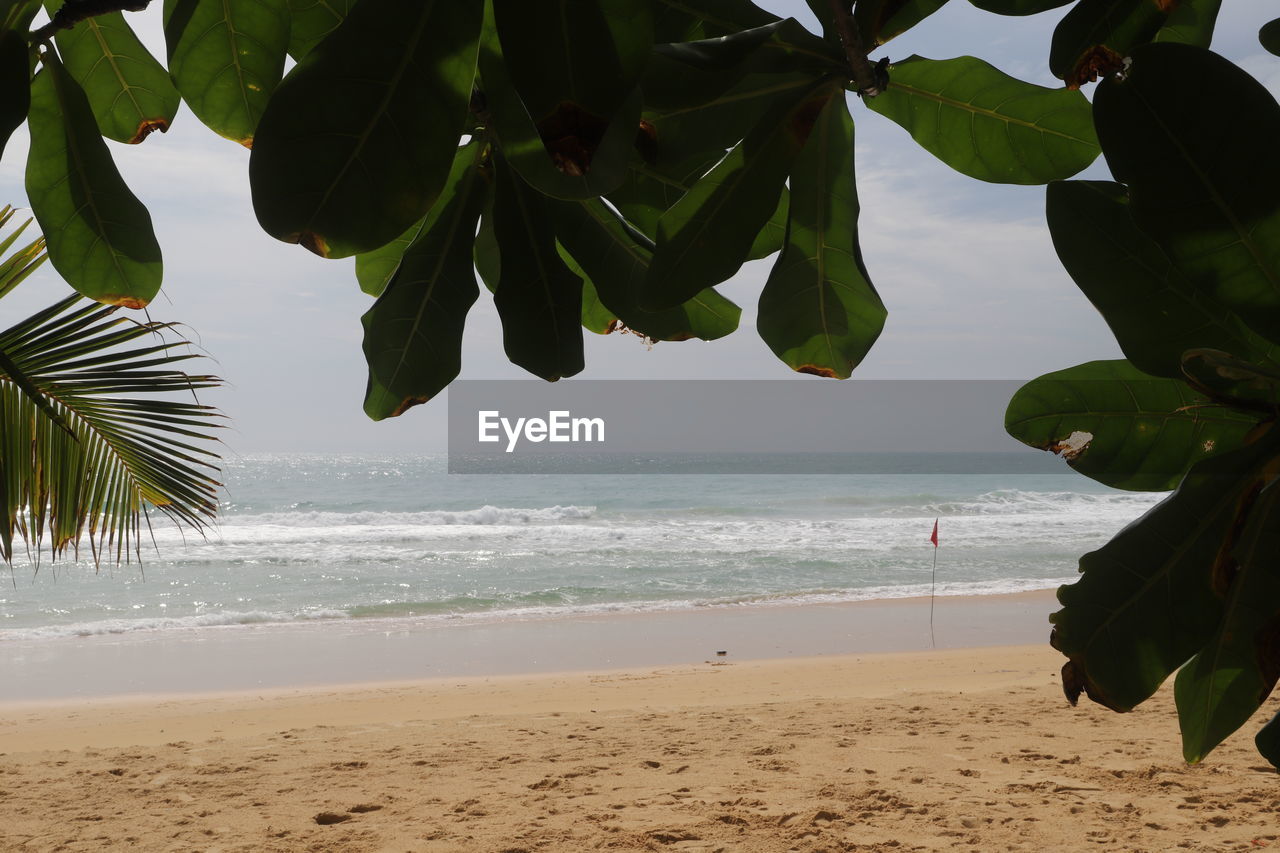 SCENIC VIEW OF BEACH