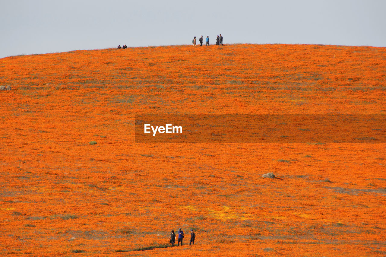 PEOPLE WALKING ON LANDSCAPE AGAINST SKY