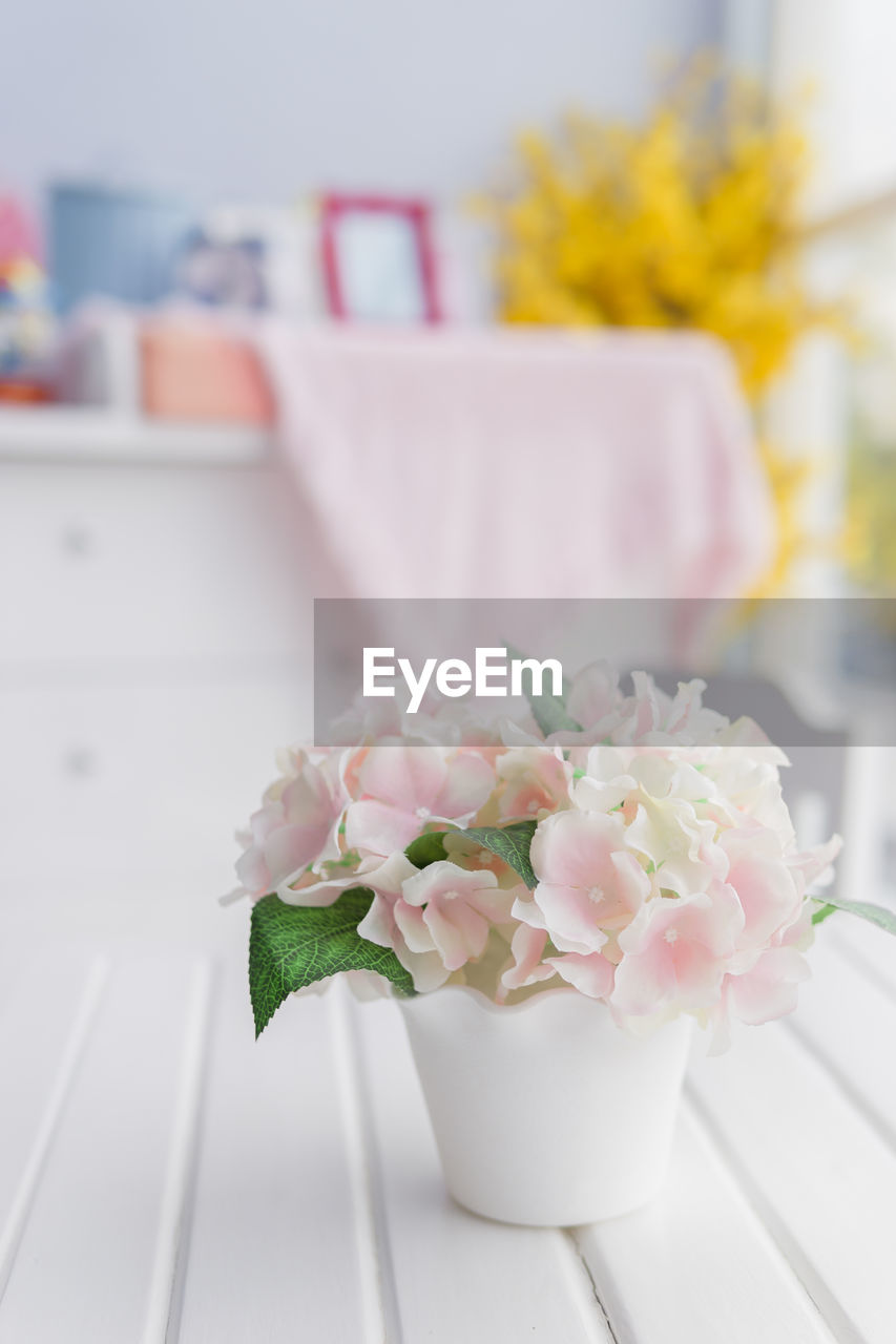 Close-up of pink flowers in vase on table at home