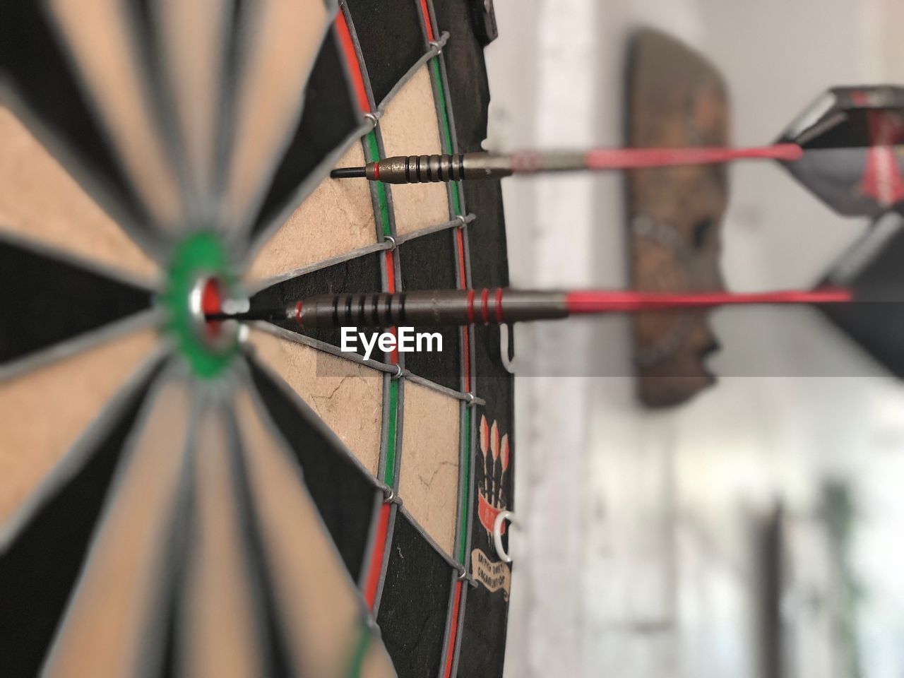 Close-up of arrows on target