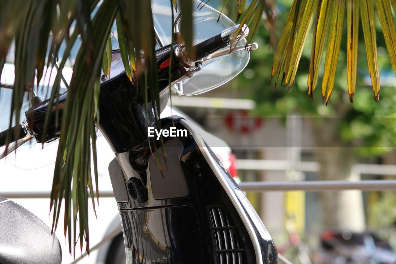 Close-up of bicycle on plant