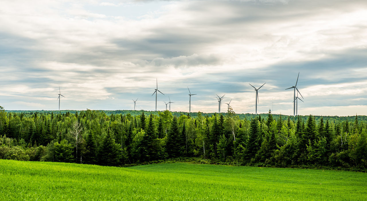 Scenic view of rural landscape