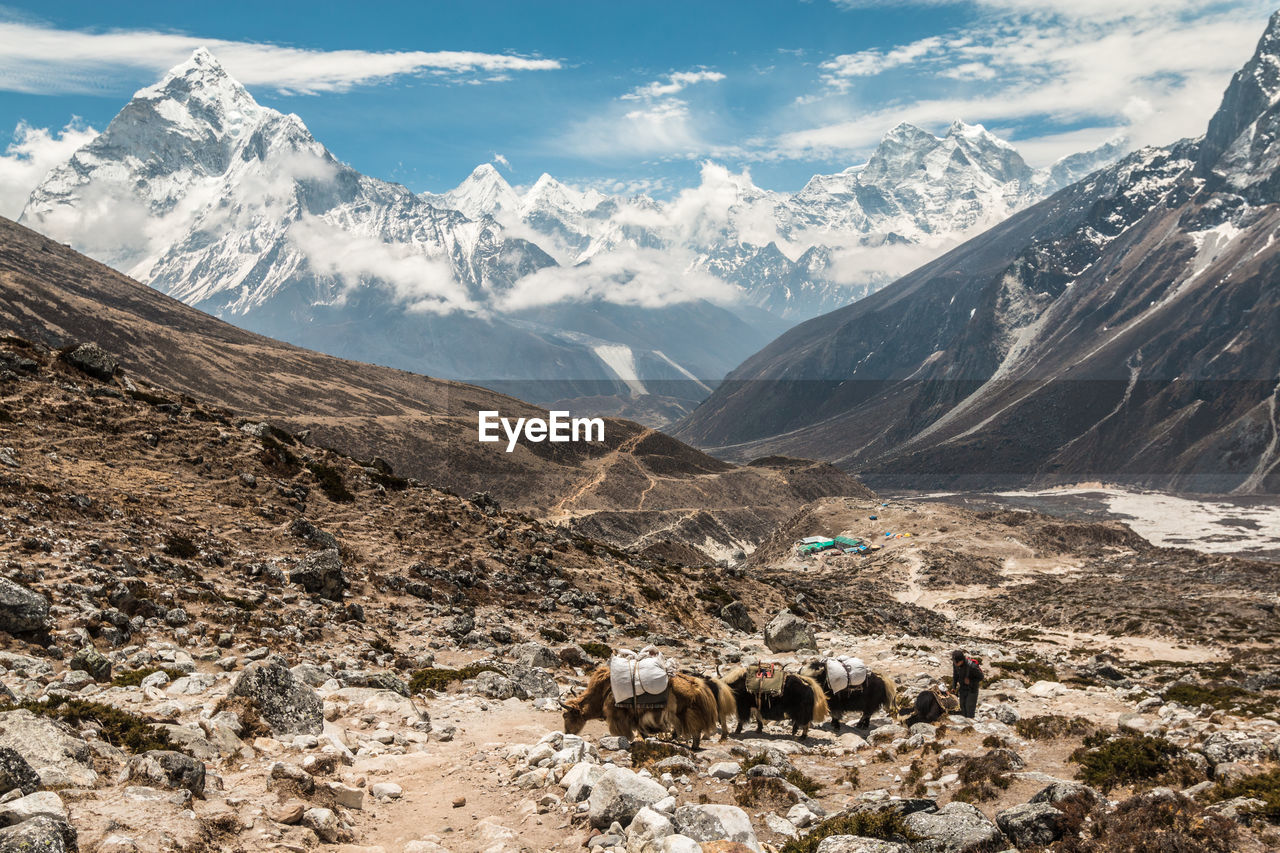 SCENIC VIEW OF SNOWCAPPED MOUNTAINS