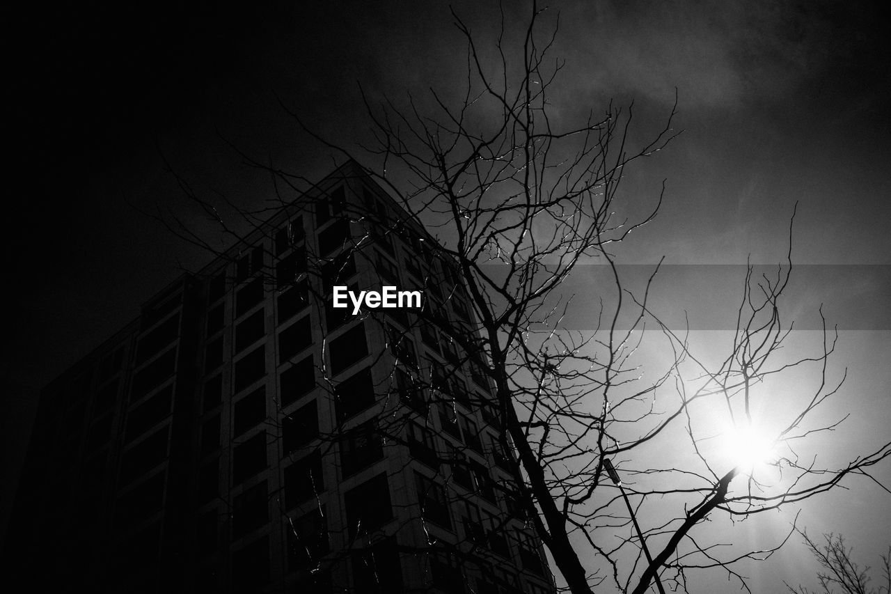Low angle view of bare tree against sky