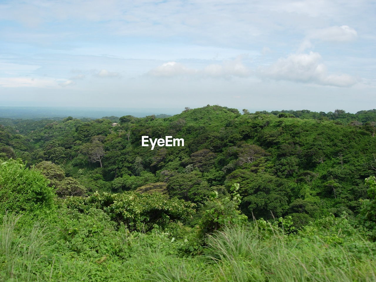 Scenic view of green landscape against sky