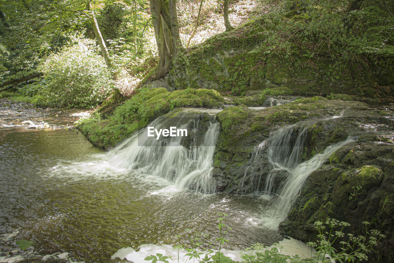 SCENIC VIEW OF WATERFALL